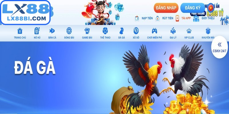 Chuyên mục đá gà mang đến những trận đối đầu giữa các chiến kê được tuyển chọn