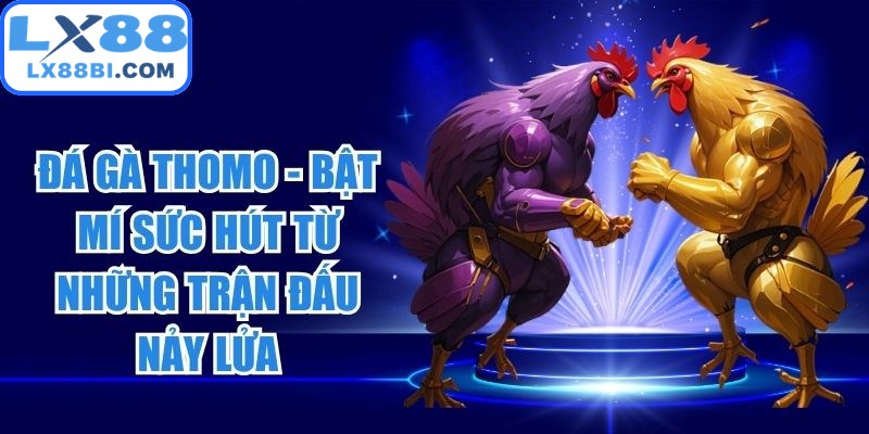 Đá Gà Thomo